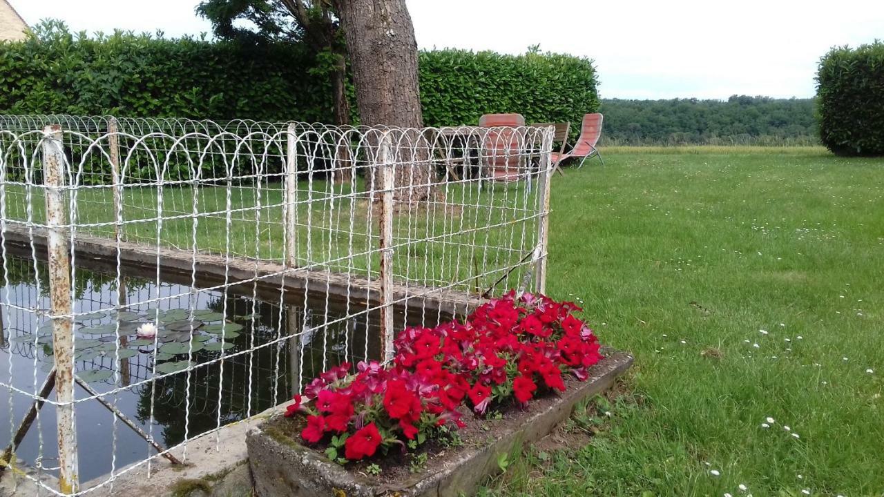 Gite De Bazeille Saint-Avit-Sénieur Exteriör bild